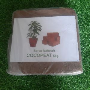 Cocopeat Blocks