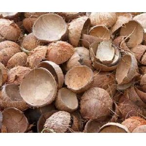 Coconut Shell