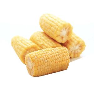 frozen corn cob