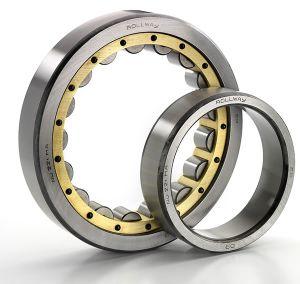 Cylindrical Roller Bearings