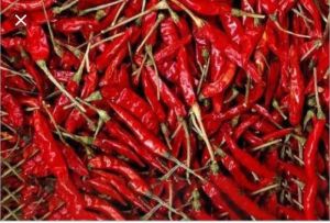 Dried Red Chillies