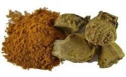 Amba Haldi Extract