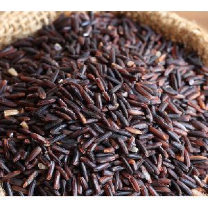 Black Rice