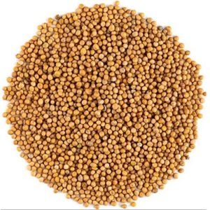 Mustard Seeds