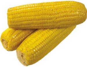 Yellow Corn