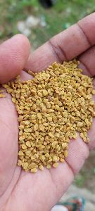 Methi Seeds