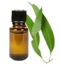 Clove Leaf Oil