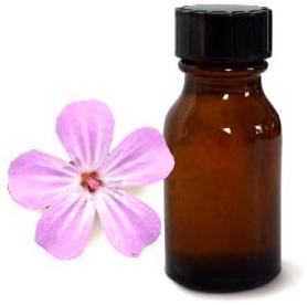 Geranium Oil