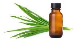 Ginger Grass Oil