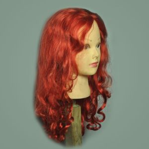 Human Hair Wig