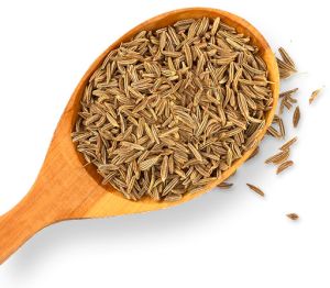 Cumin Seeds