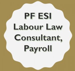 ESIC Consultant Service