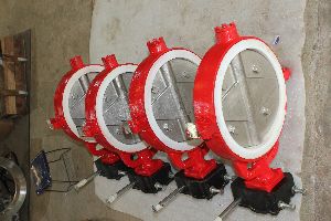 Lined Butterfly Valve