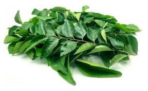 Fresh Curry Leaves