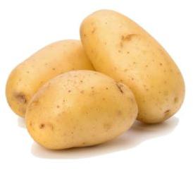 Fresh Potato