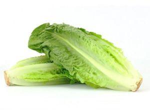 Fresh Romaine Lettuce