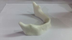 Plain Mandible