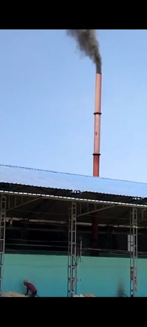 Automatic Jaggery  Plant
