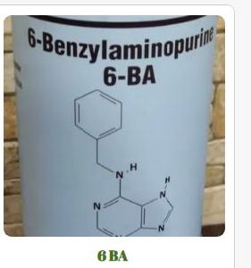 Benzylaminopurine Fertilizer 6BA