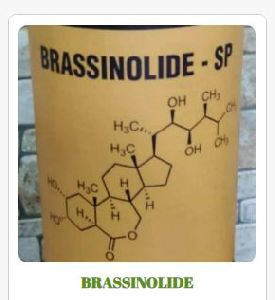 Brassinolide Fertilizer