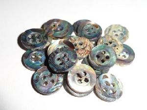 Abalone shell button