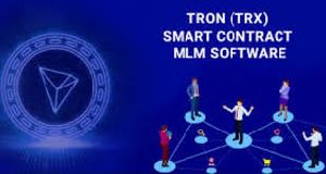 MLM IT Consultancy