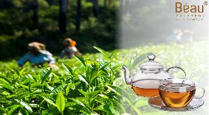 Indian Tea
