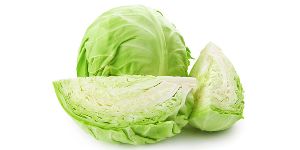 Cabbage