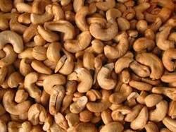 cashew nuts