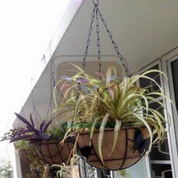 Coco Coir Hanging Basket