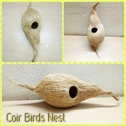 Coir Bird Nest