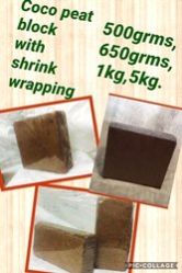 Organic Coco Peat Block