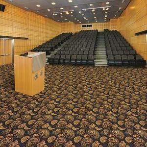 Auditorium Carpets