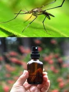 Herbal Mosquito Repellent