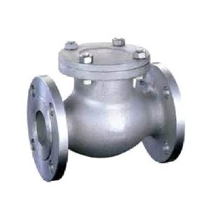 Ss Non Return Valve