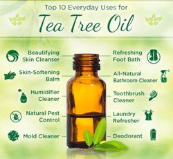 Tea Tree Oil