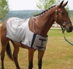 horse blankets