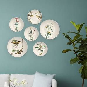 Birds Wall Plates