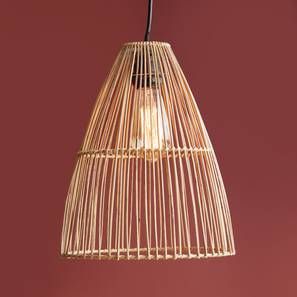 Conical Hanging Lamp