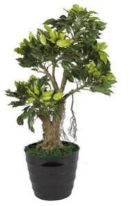 Ficus Artificial Plant