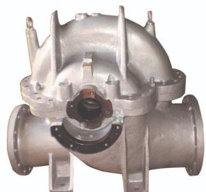 Pump Casing Impeller