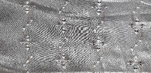 Sequin Embroidered Fabric
