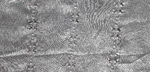 Zari Embroidered Fabric