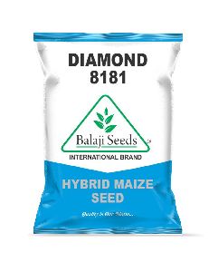 Diamond BS-8181 F1 Corn Seeds