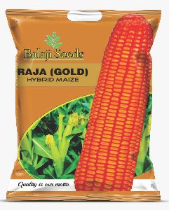 Raja Gold F1 Corn Seeds