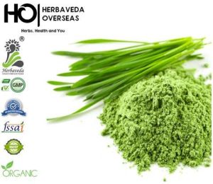 Wheat Grass Powder