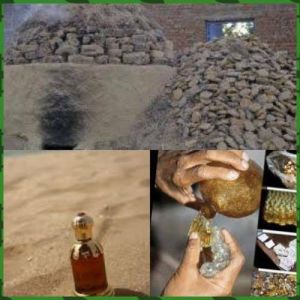 Attar mitti (gill)