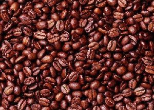 Cocoa Beans