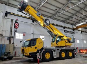 Mini Crane Rental Services