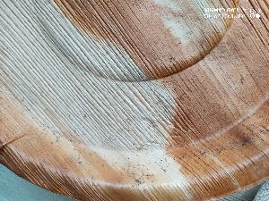 Areca Leaf Plates - 8